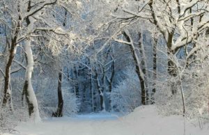 Appreciation of poem Stopping by Woods on a Snowy Evening